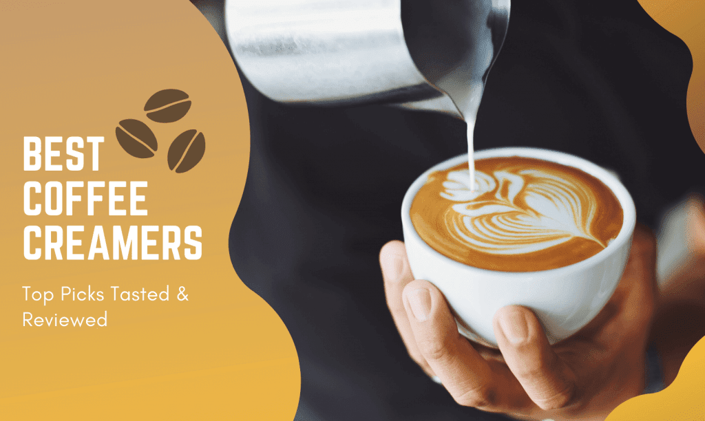 Best Coffee Creamers