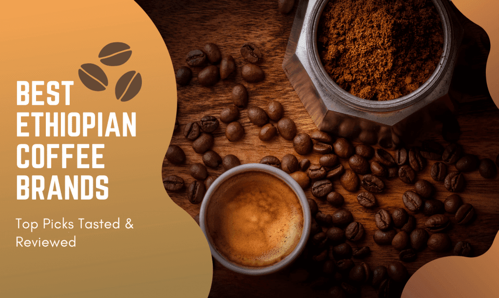 Best Ethiopian Coffee Brands