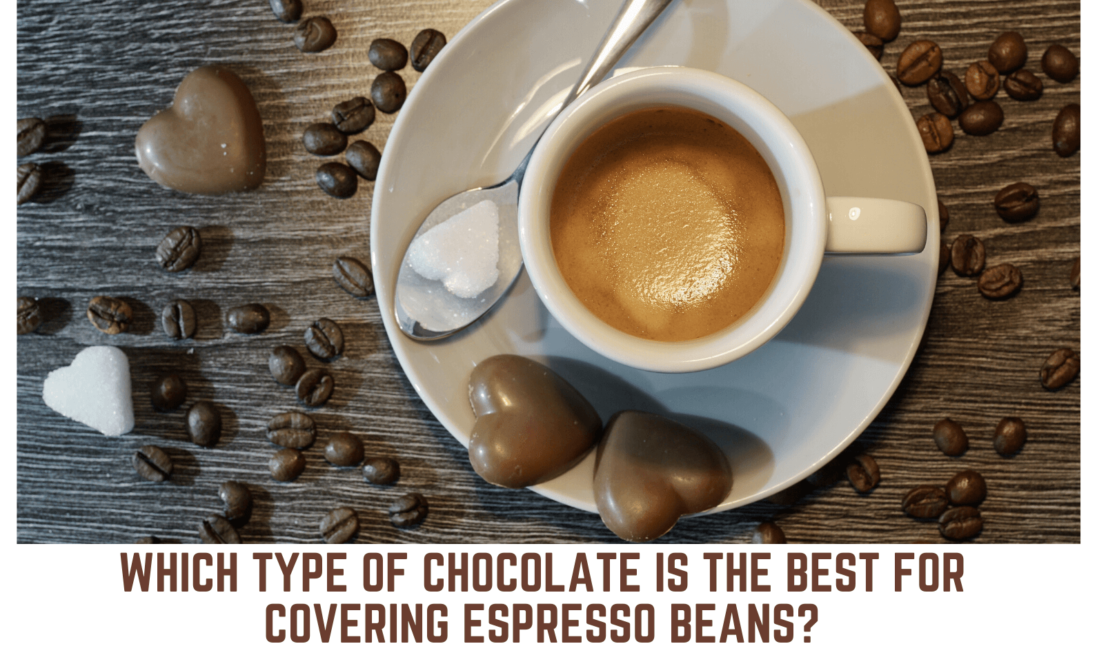Chocolate-Covered Espresso Bean