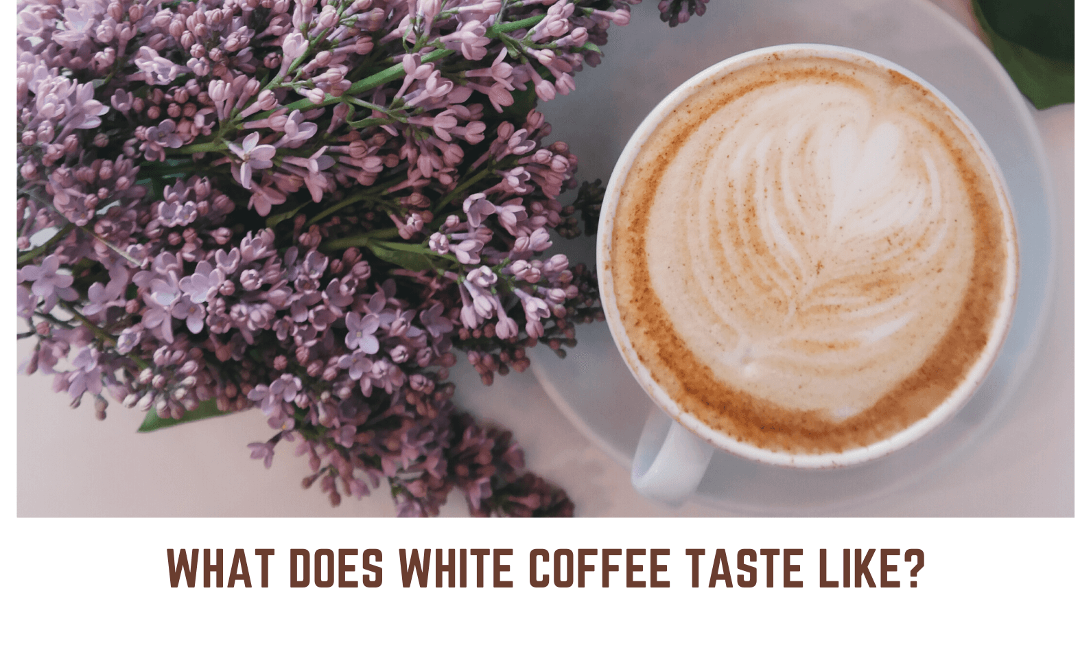 What does white coffee taste like
