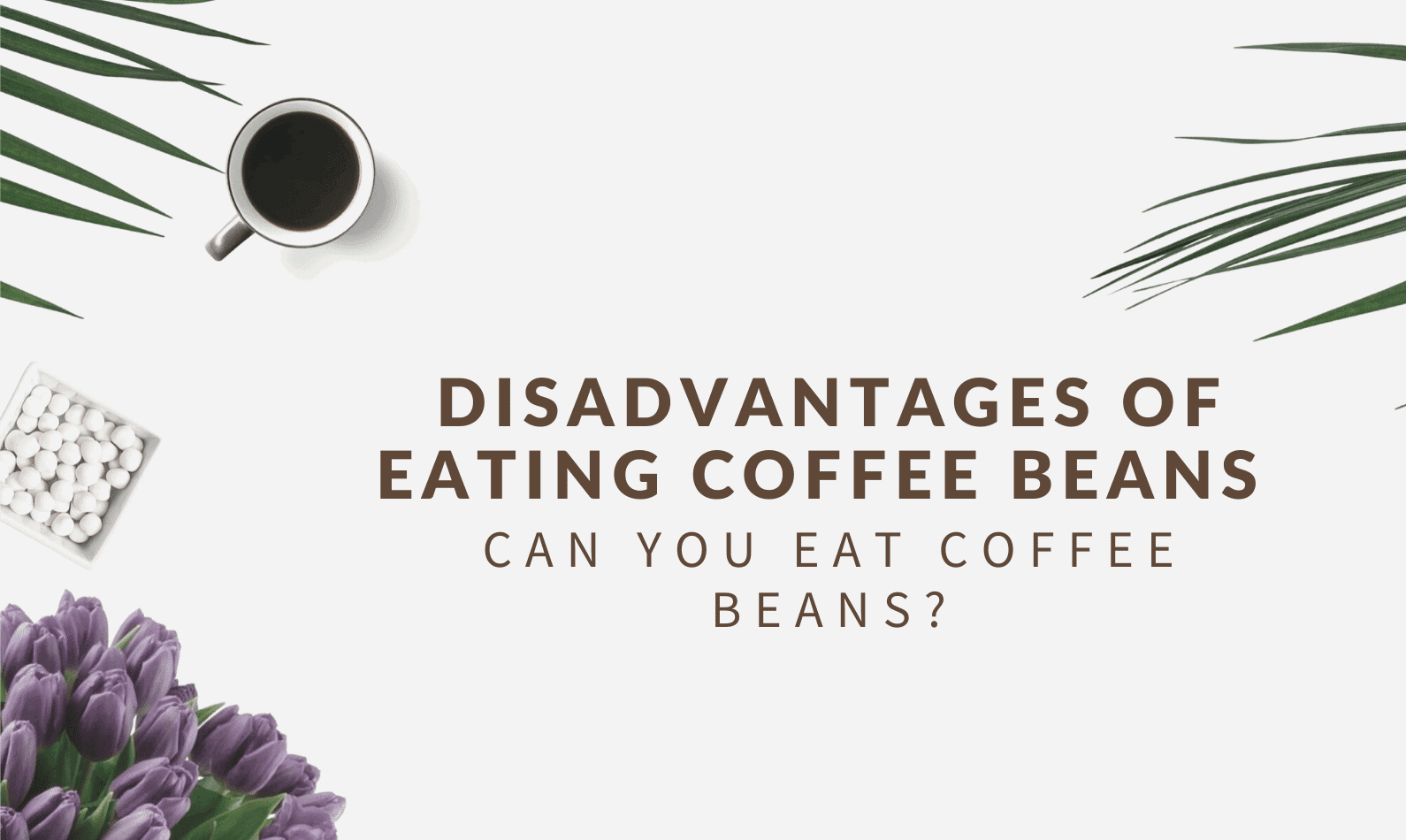 Disadvantages of Eating Coffee Beans