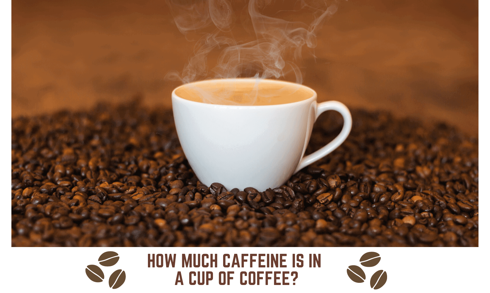 How Much Caffeine is in a Cup of Coffee