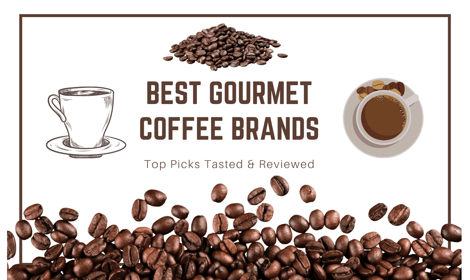 Best Gourmet Coffee Brands