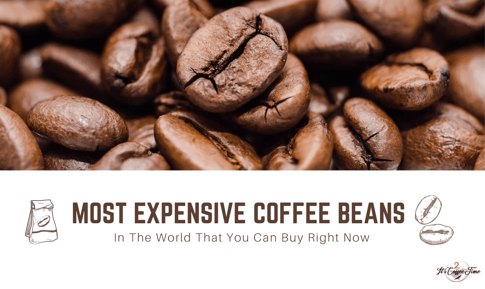 Most Expensive Coffee Beans