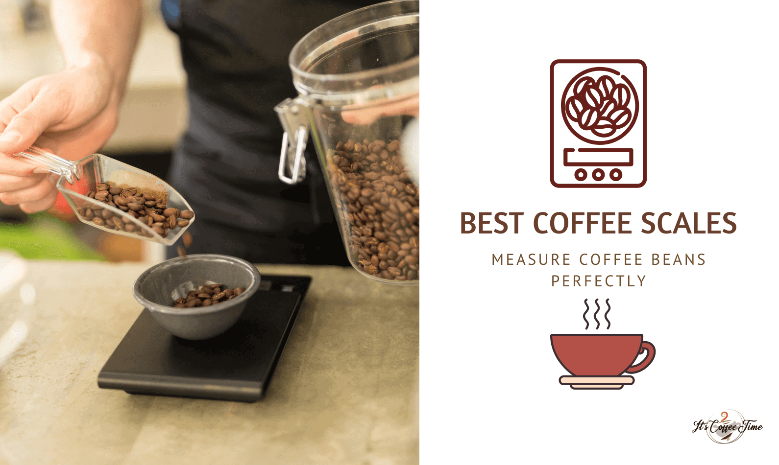 Best Coffee Scales