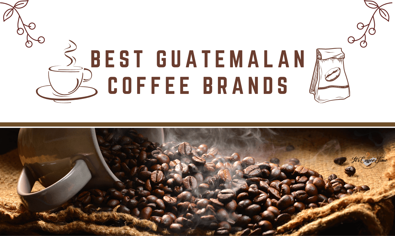 Best Guatemalan Coffee Brands
