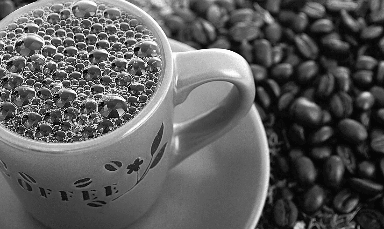 What is the Ideal Brewing Temperature (1)